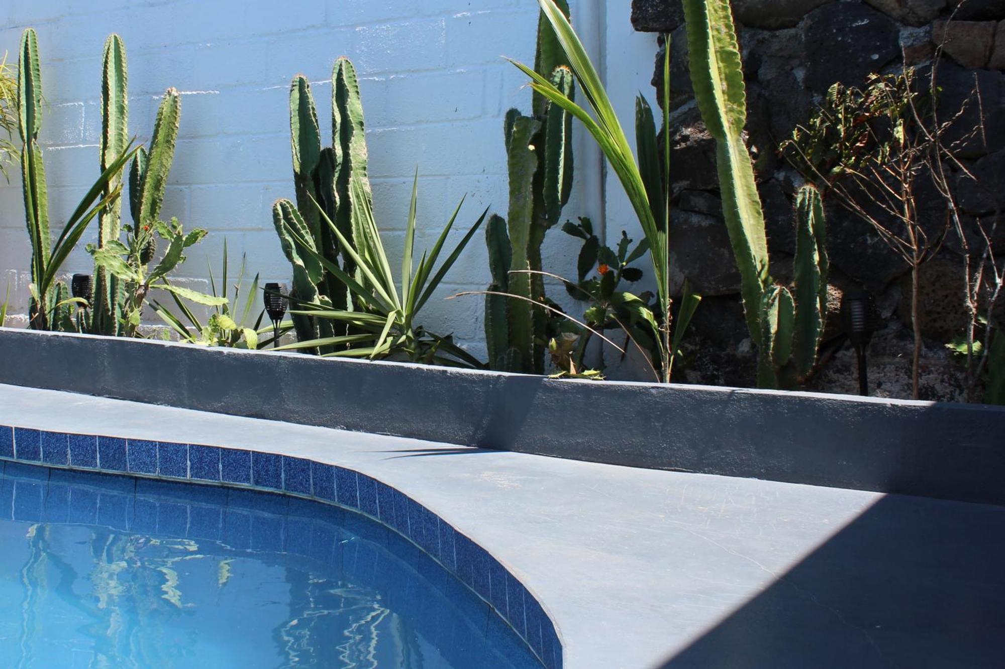 Hostal Pimampiro Puerto Baquerizo Moreno Esterno foto